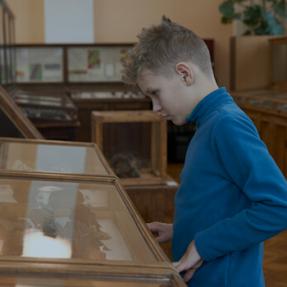 salle musée histoire naturelle