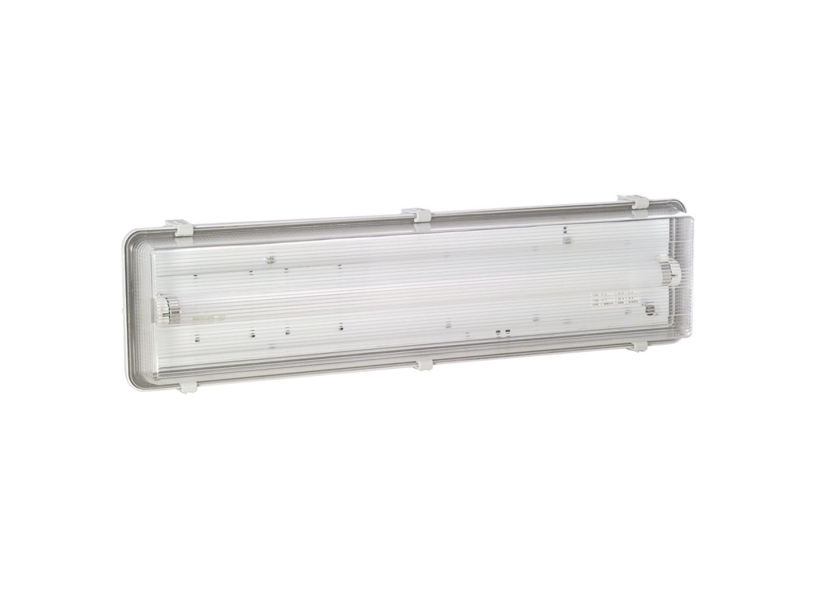 BAES d'ambiance non permanent fluo grand flux IP44 IK07 contrôle manuel BAES d'ambiance non permanent fluo grand flux IP44 IK07 contrôle manuel