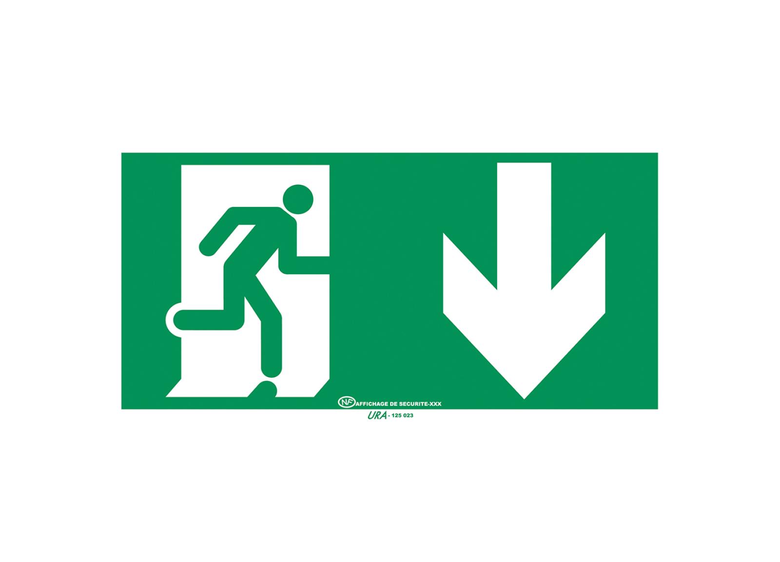 Pictogramme autocollant pour signalisation Évacuation avec symbole flèche vers le bas Pictogramme autocollant pour signalisation Évacuation avec symbole flèche vers le bas