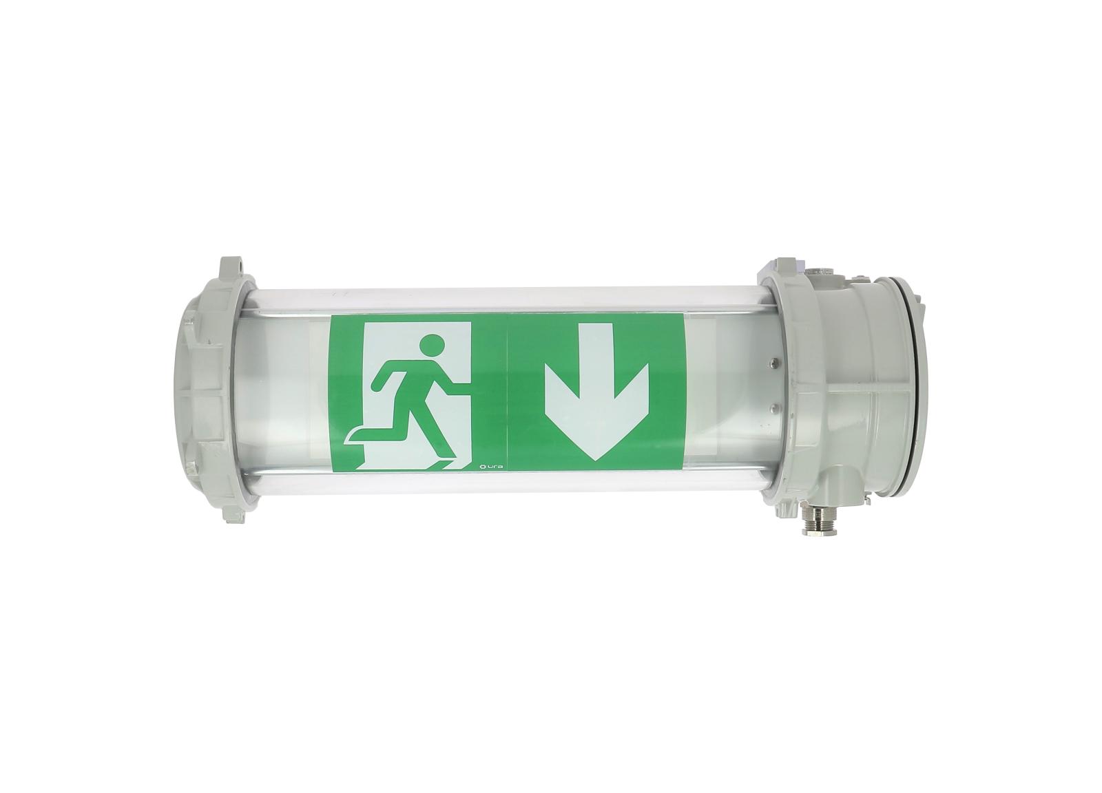 BAES Évacuation ATEX 100lm-1h SATI Connecté - Adressable IP68-IK09 BAES Évacuation ATEX 100lm-1h SATI Connecté - Adressable IP68-IK09