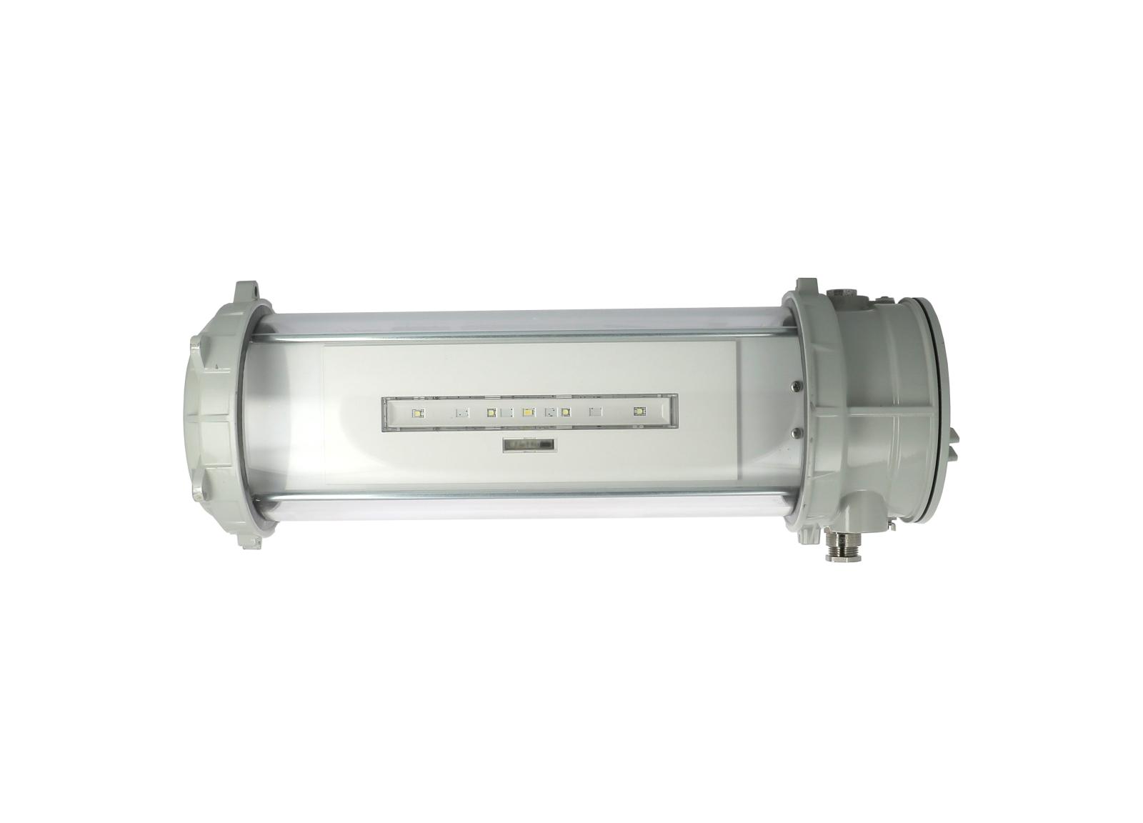 BAES Ambiance ATEX 450lm-1h SATI Connecté Adressable IP66-IK09