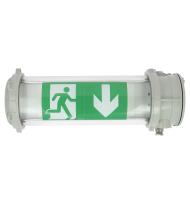 BAES Évacuation ATEX 100lm-1h SATI Connecté - Adressable IP68-IK09